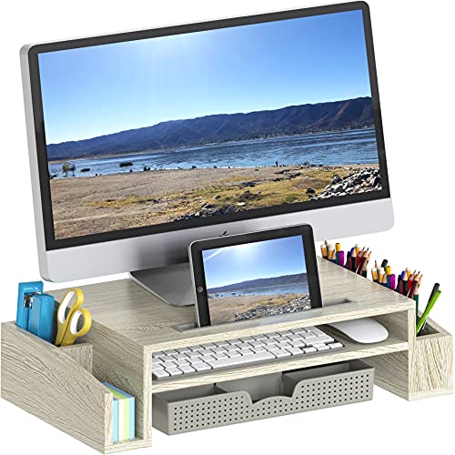 Simple Houseware desk monitor stand riser with organizer tray